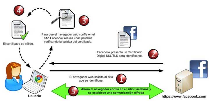 Cifrado SSL en introducción al cifrado simétrico y asimétrico para principiantes